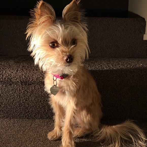 Meet your Posher, Kristen - Picture 2 of 3